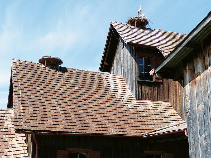 Schollenmühle mit Storchenhorsten