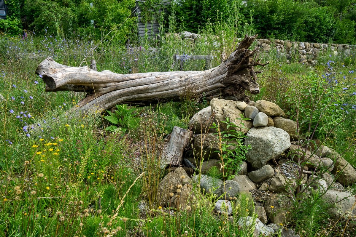 Elemente eines Naturgartens: Steinstrukturen, Totholz