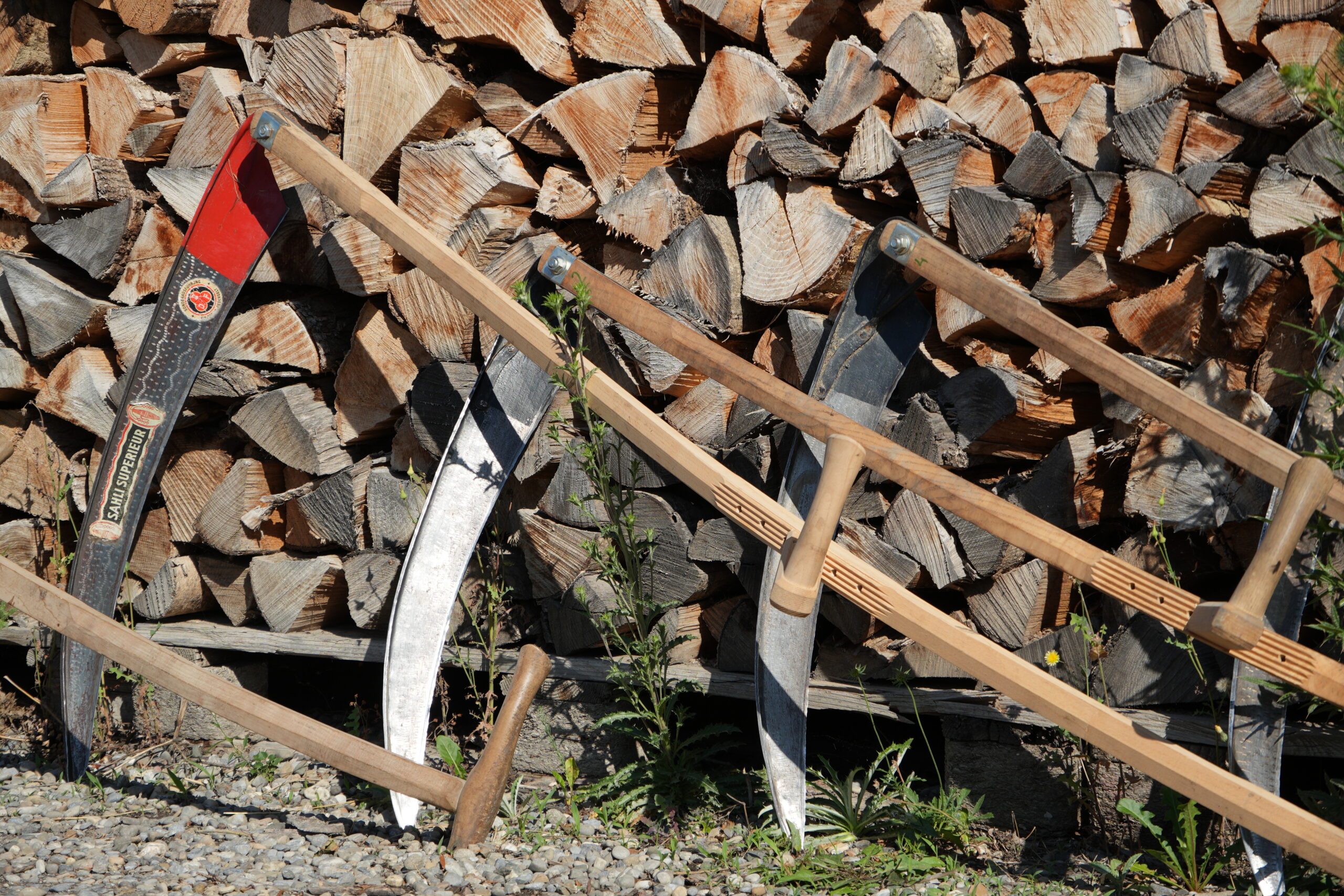 Mit der Sense für mehr Artenvielfalt – Kurs «Mähen und Dengeln»