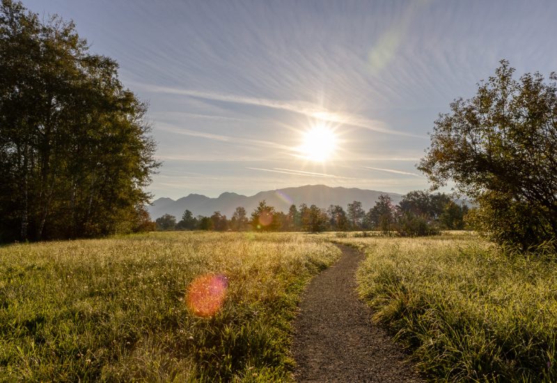 Impressionen Schollenmühle