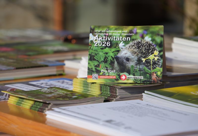 ehu_20260328_Frühlingskurs_11