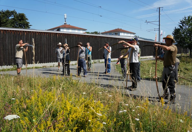 ehu_20260627_Sensenkurs_71