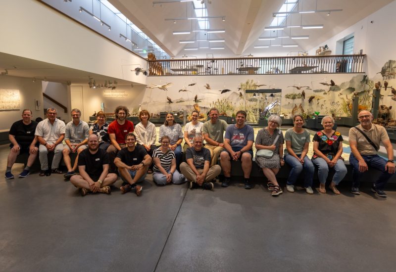 Abschlussfoto Ornithologischer Grundkurs Vögel, Vogelkurs 2026

Ausstellungraum Naturmuseum St. Gallen

Kursleitende: Malin Wiget, Alex Gächter, Dominic Frei, teilweise unterstüzt von Gregor Sieber, Michael Anderegg und Esther Hutter

In Zusammenarbeit mit BirdLife Schweiz