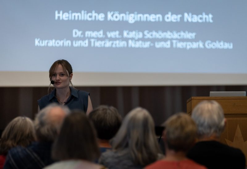 Fledermausvortrag resp. -referat von Dr. Katja Schönbächler, Fledermausexpertin, Kuratorin und Tierärztin im Natur- und Tierpark Goldau.

Sonnensaal Altstätten. Im Rahmen de Projekts Biodiversität im Siedlungsraum. 

Siedlungsprojekt
