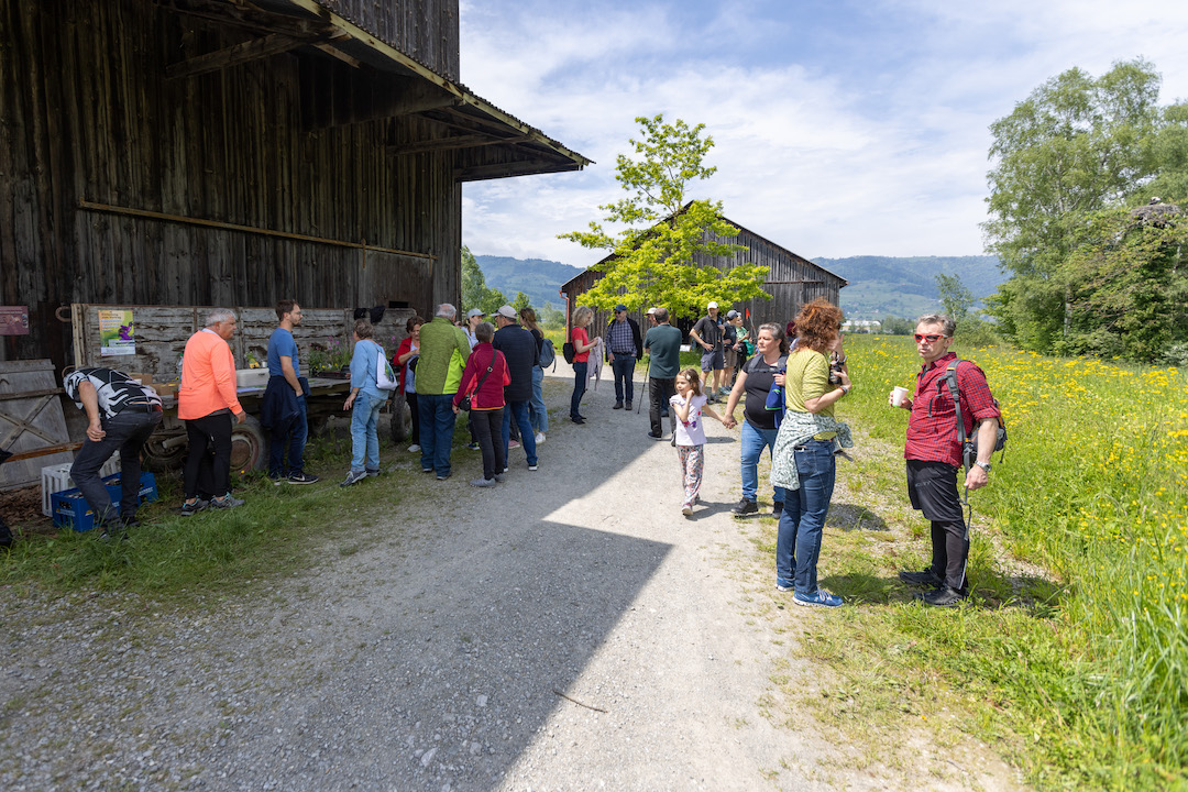Mehrere Hundert Besuchende am Tag der offenen Schollenmühle